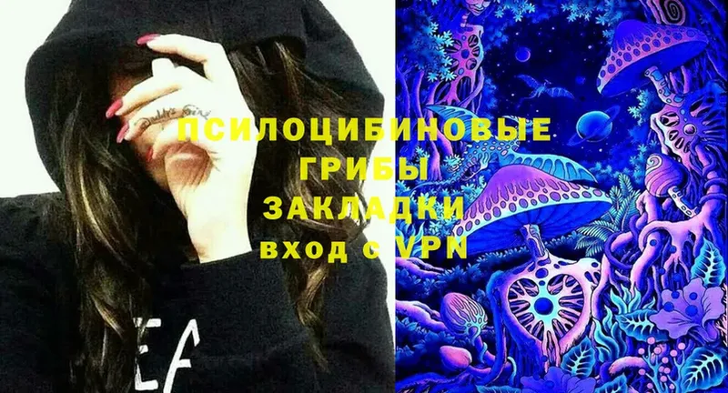 гидра   хочу   Копейск  Псилоцибиновые грибы Psilocybine cubensis 